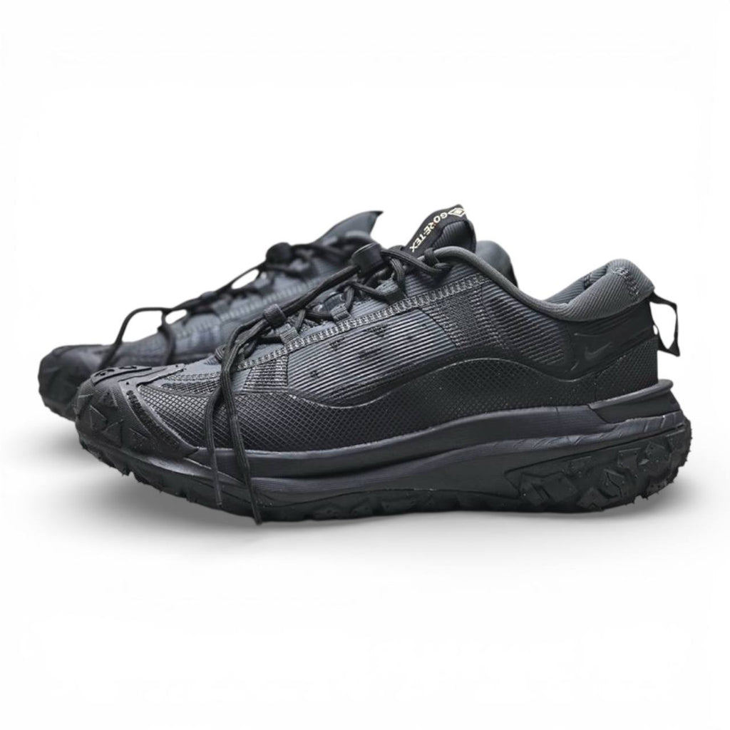 Маратонки ACG Mountain Fly 2 Low