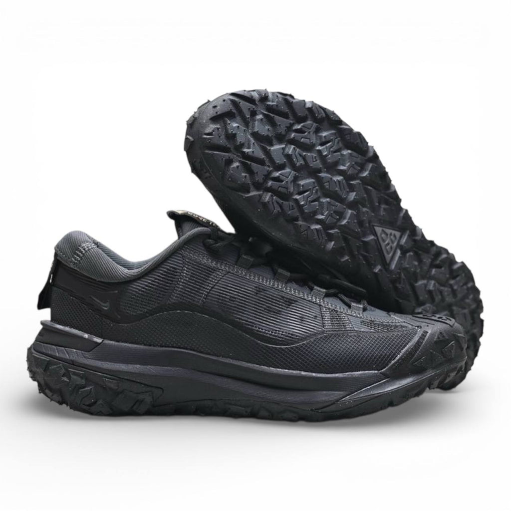 Маратонки ACG Mountain Fly 2 Low